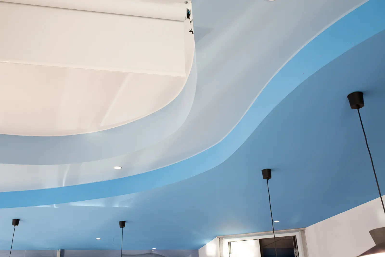 RISTO VIVIANI - Image 2